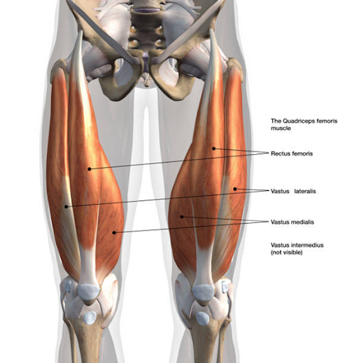 Rotura recto anterior cuádriceps: Abordaje postquirúrgico a través de la fisioterapia