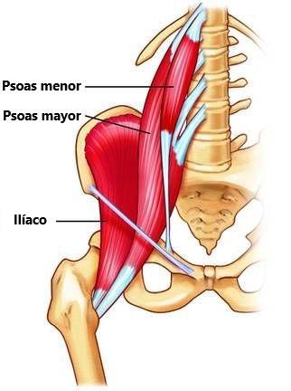 ¿Cómo se puede abordar la tendinitis del psoas mediante la fisioterapia?