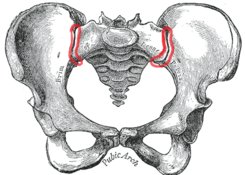 Disfunciones de la articulación sacroilíaca y su abordaje mediante la fisioterapia Disfunciones de la articulación sacroilíaca y su abordaje mediante la fisioterapia